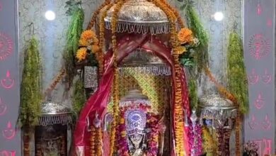 नवरात्र के तीसरे दिन भक्तों ने पूरी श्रद्धा के साथ मां चंद्रघंटा स्वरूप की उपासना की।