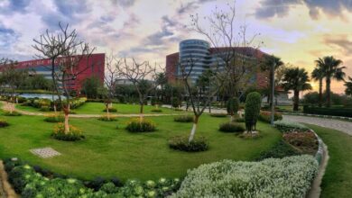 उत्तर प्रदेश, नोएडा: मार्केट और सेक्टरों में ग्रीन बेल्ट पर बना दी पार्किंग और पार्क, ग्रेनो अथॉरिटी चलवाएगी बुलडोजर